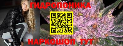 ECSTASY Новокубанск