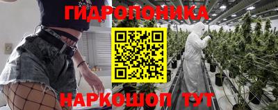 марихуана Новозыбков