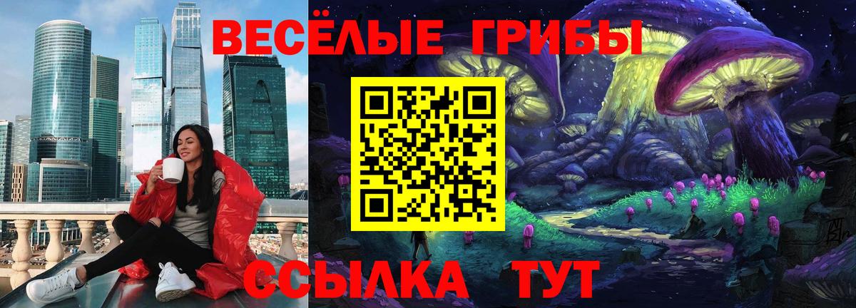 Галлюциногенные грибы Magic Shrooms  Псилоцибиновые грибы GOLDEN TEACHER  Строитель  Вход с VPN 