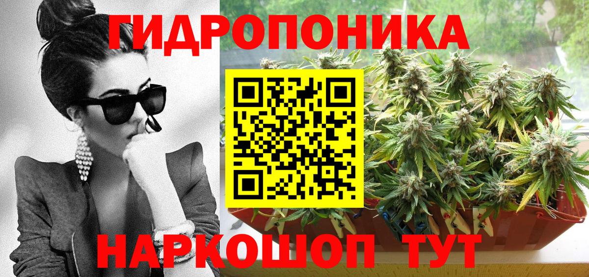 Бошки Шишки план  Вход с VPN  Строитель  Шишки марихуана OG Kush  Шишки марихуана индика  Бошки Шишки OG Kush 